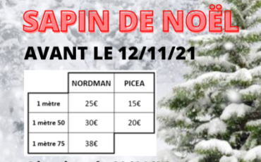 Opération sapins de Noël